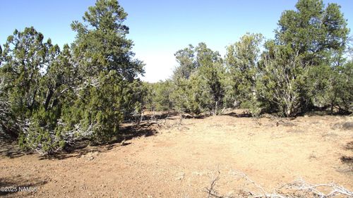 803 E Pawpaw Ln, Williams, AZ, 86046 | Card Image