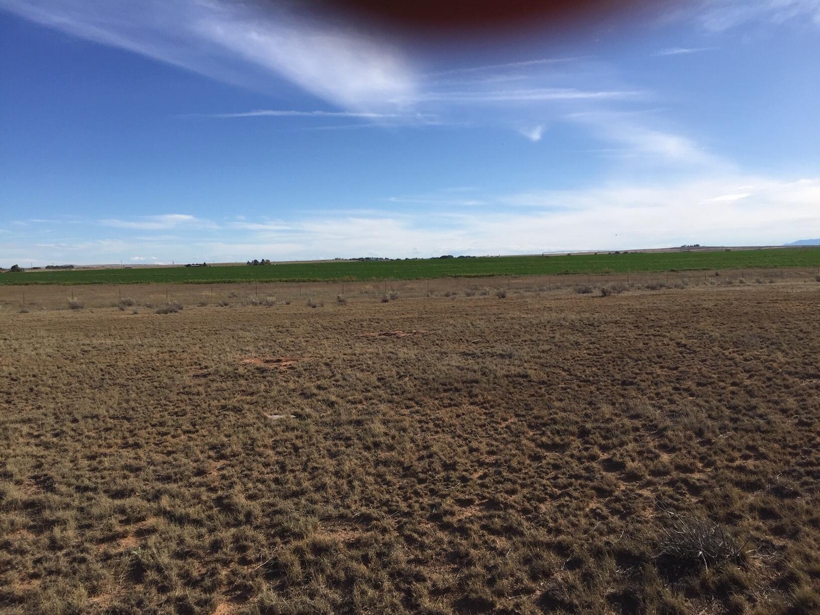 Land in Stanley 4