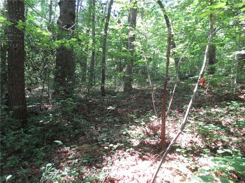 00 Gauley Falls Rd, Pickens, SC, 29671 | Card Image