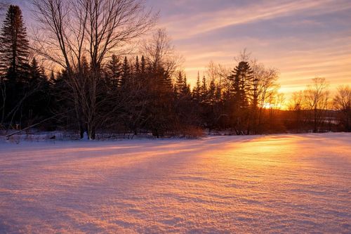 972 Fitzgerald Rd, Morristown, VT, 05661-8905 | Card Image