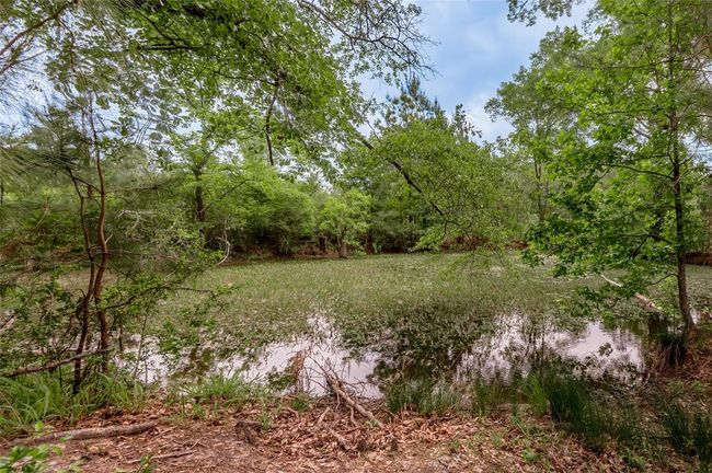 4785 Us Highway 287 S, Home with 4 bedrooms, 2 bathrooms and 3 parking in Crockett TX | Image 9