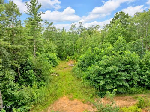 162 Murph Potter Ln, Roan Mountain, TN, 37687-3153 | Card Image
