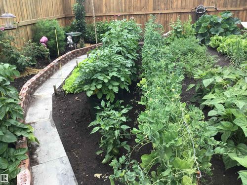 4914 47 St, Redwater, AB, T0A | Card Image