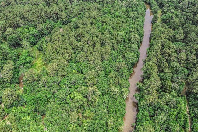 God's eye of Bayou | Image 6