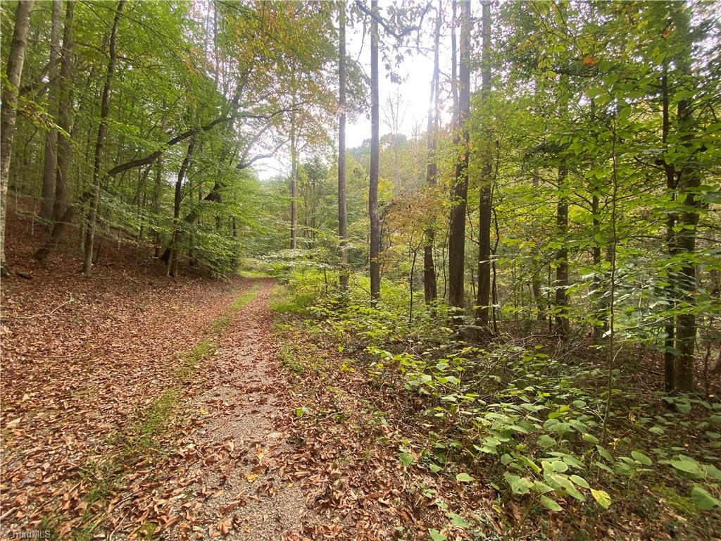Land in North Wilkesboro 5