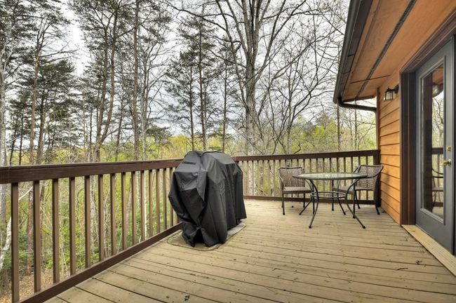 48 Logan Dr, Home with 3 bedrooms, 3 bathrooms and null parking in Mineral Bluff GA | Image 42