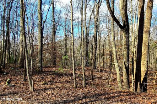 Lot 9 Walden Flats Way, Sevierville, TN, 37862 | Card Image