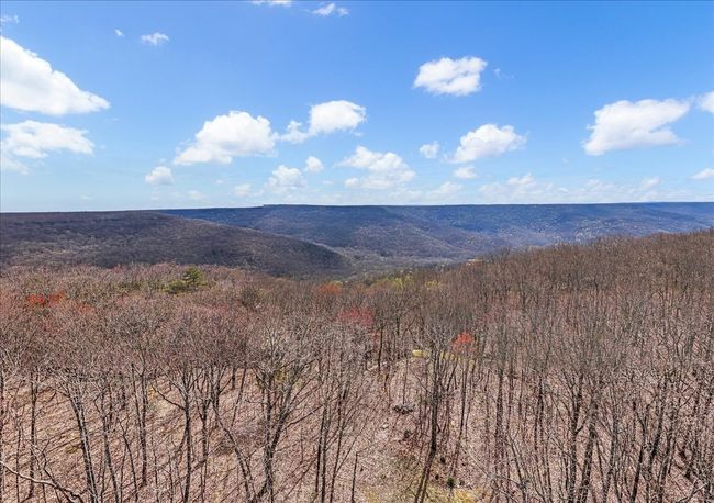 558 Hanging Rock Dr, House other with 3 bedrooms, 2 bathrooms and 2 parking in Altamont TN | Image 52