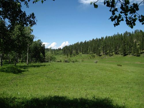 21933 Sunny Meadows Ct, Lead, SD, 57754 | Card Image