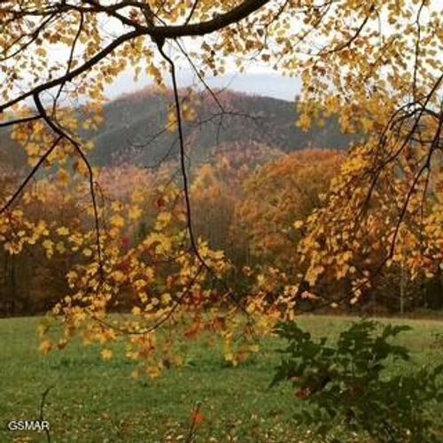 00 Mountain Laurel Way, Cosby, TN, 37722 | Card Image