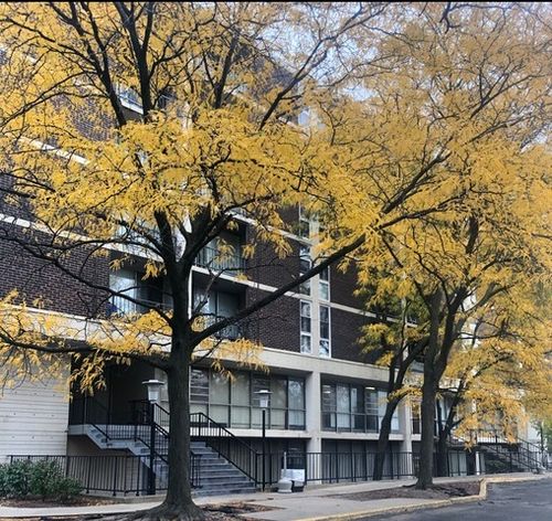 apt-208-1043 S York Rd, Bensenville, IL, 60106-3442 | Card Image