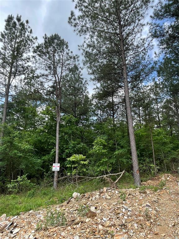 Land in Broken Bow