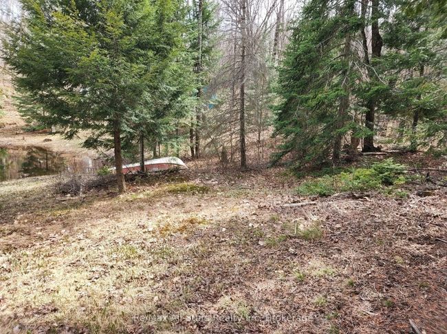 C - 781 Highway 520 Highway, Home with 0 bedrooms, 0 bathrooms and null parking in Whitestone ON | Image 10