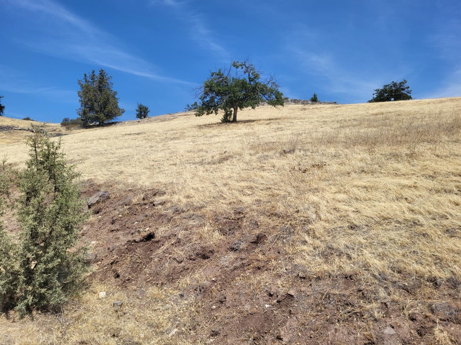 Land in Hornbrook