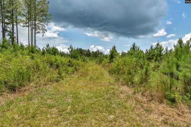 0000 N Brewington Rd, Home with 0 bedrooms, 0 bathrooms and null parking in Manning SC | Image 61