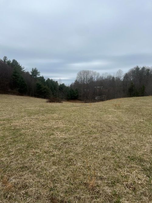 299 Red Ford Rd, Meadows of Dan, VA, 24120 | Card Image
