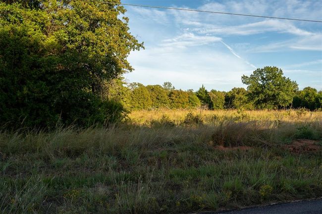 View of local wilderness with a wooded view | Image 12