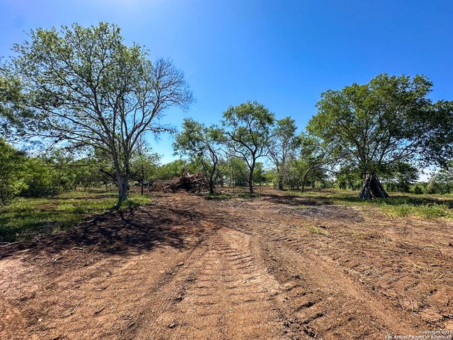 13704 Ladd Rd, Home with 0 bedrooms, 0 bathrooms and null parking in Atascosa TX | Image 16