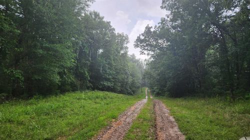 TBD Markerville Rd, Story, AR, 71970 | Card Image