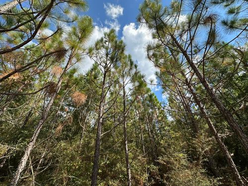 Parcel C New Ebenezer Rd, Laurel Hill, FL, 32567 | Card Image