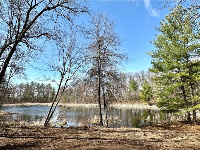 16 295th Street, Home with 0 bedrooms, 0 bathrooms and null parking in Holcombe WI | Image 28
