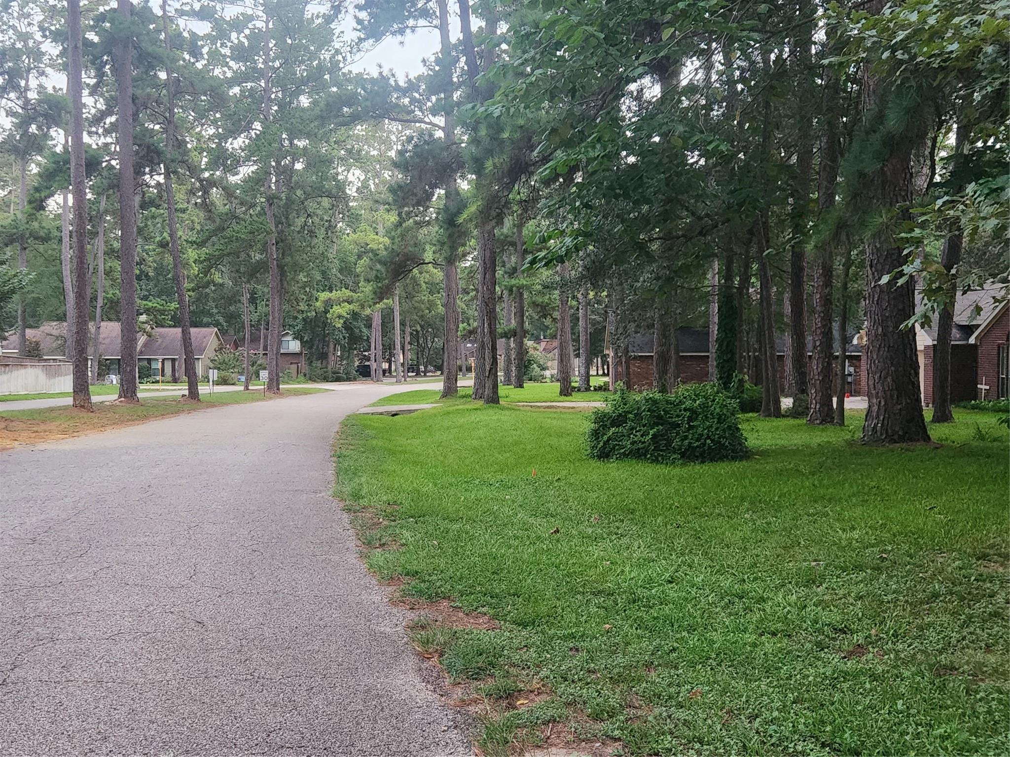 Land in Willis 5