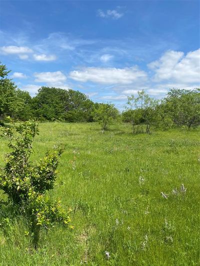 View of local wilderness | Image 2