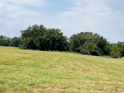 0046 Fm 2548 E, Midway, TX, 75852 | Card Image