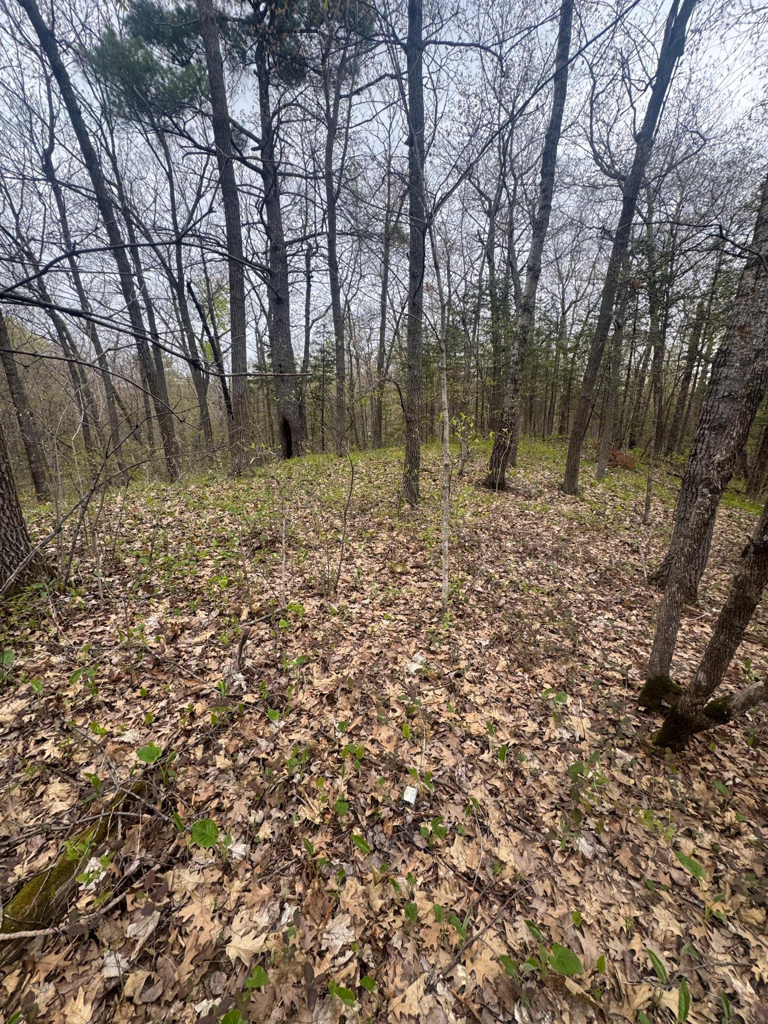 Land in Brainerd 3