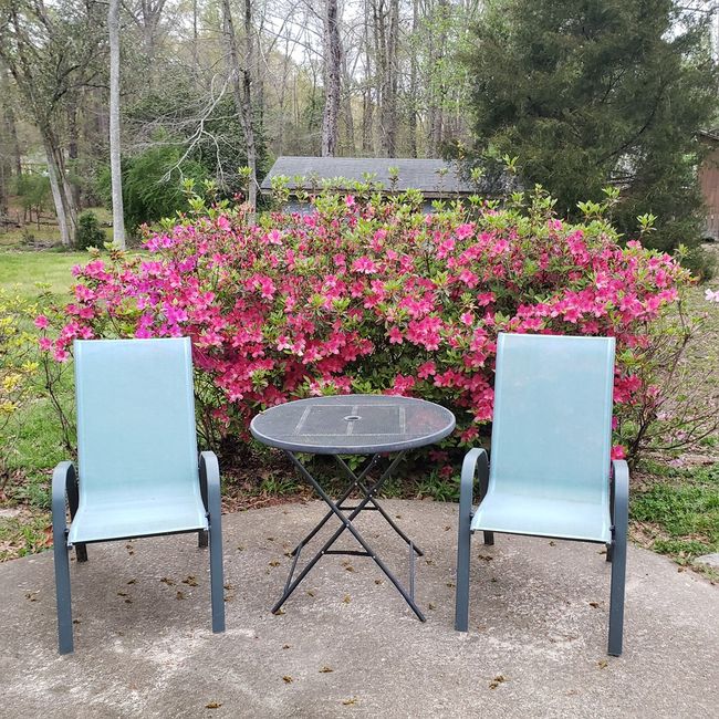 7505 Beaver Run Rd, House other with 2 bedrooms, 2 bathrooms and 2 parking in Midland GA | Image 6