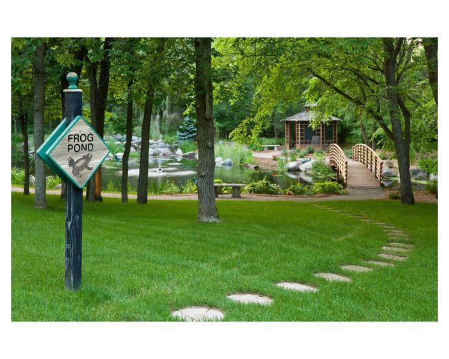 If you are looking for a relaxing escape, spend an hour in the frog pond gazebo | Image 30