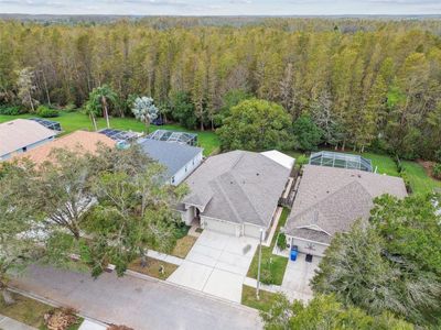 19728 Morden Blush Drive, House other with 4 bedrooms, 2 bathrooms and null parking in Lutz FL | Image 2