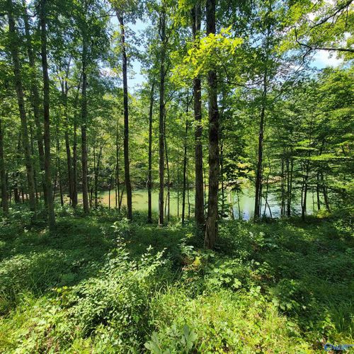 Lot 25 Legendary Parkway, Arley, AL, 35541 | Card Image