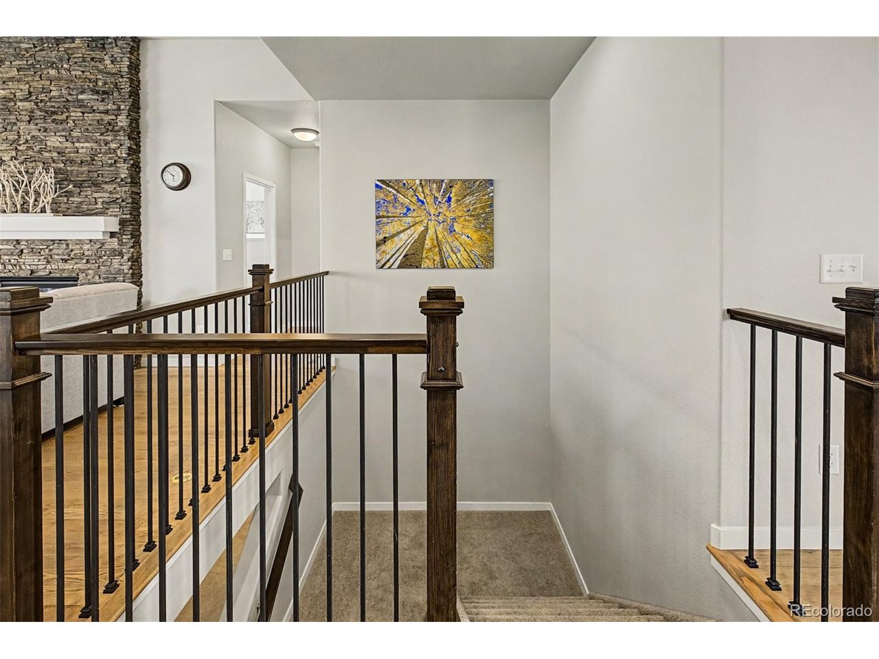 Residential in Colorado Springs 3