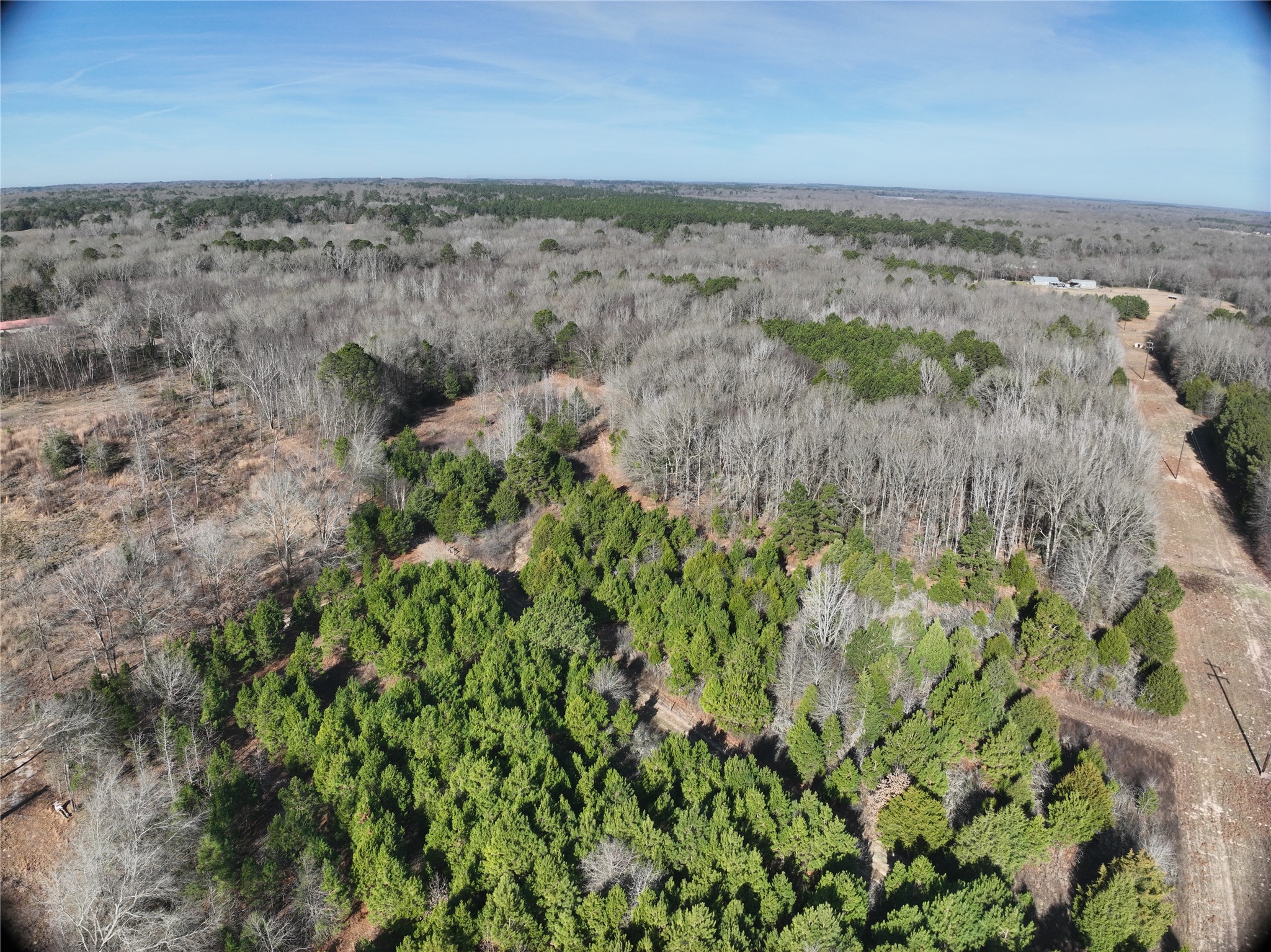 Land in Quitman 5