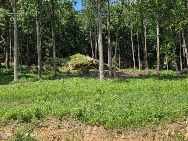 5 Cave Creek Rd, Home with 0 bedrooms, 0 bathrooms and null parking in Falls Of Rough KY | Image 11
