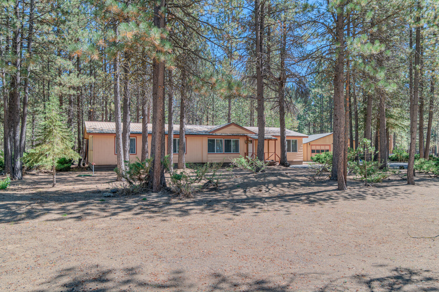 Pacific Willow , LA Pine, OR 97739