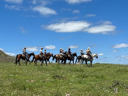 60 5 Mile Creek Rd, Edgar, MT, 59026-9516 | Card Image