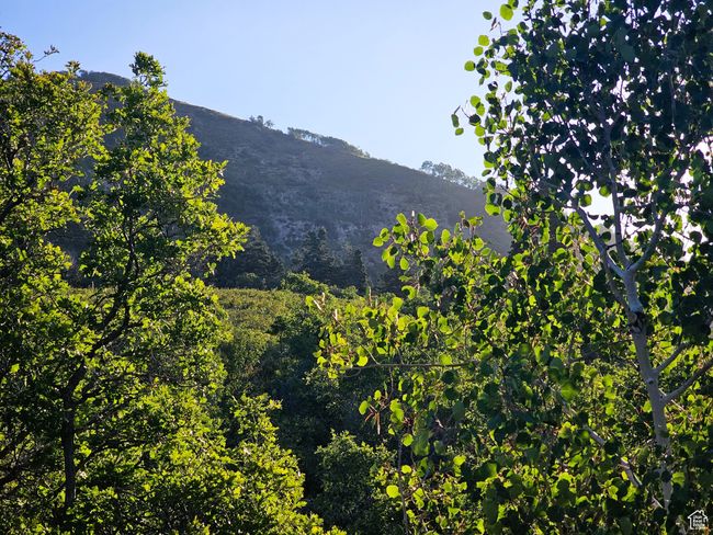 Mountain view | Image 13