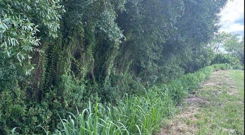 0 Ne 13th Ave, Okeechobee, FL, 34972 | Card Image