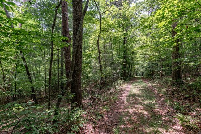 26.18 AC Green Road, Home with 0 bedrooms, 0 bathrooms and null parking in Young Harris GA | Image 15