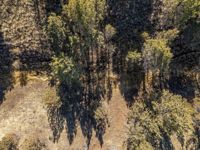 46459 Shaniko-Fossil Hwy aerial_0372 cop | Image 42