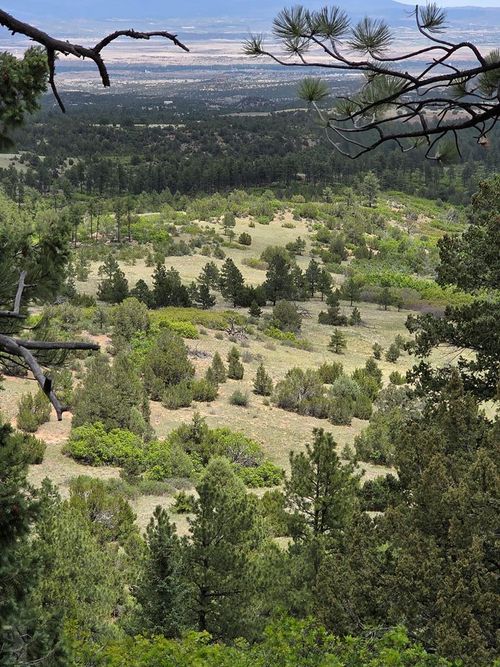 TBD County Road 15, Florence, CO, 81226 | Card Image