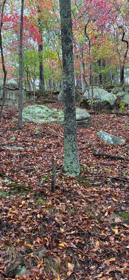 165 Joe Br, Grayson, KY, 41143 | Card Image