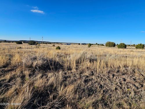 Lot 167 County Road 2005, Nutrioso, AZ, 85932 | Card Image