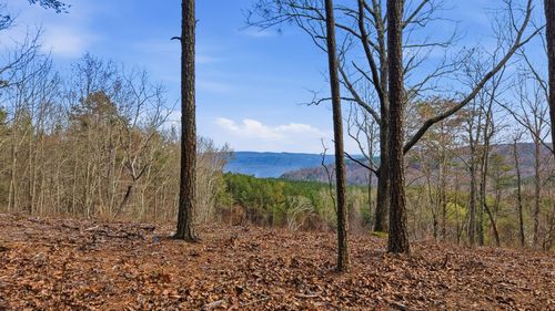 2154 Fallen Oak Pass, Guild, TN, 37340 | Card Image