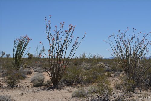 205 S Cortaro Rd, Yucca, AZ, 86438 | Card Image