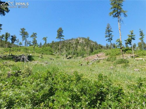 8249 Yuma Cir, Larkspur, CO, 80118 | Card Image