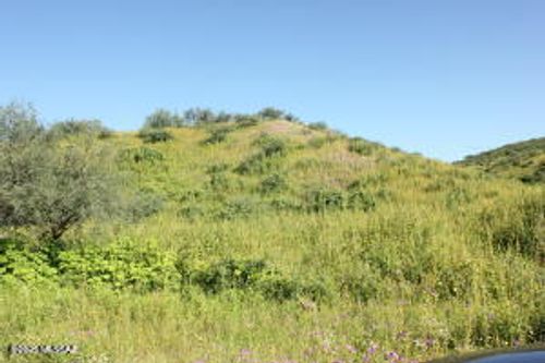 27-1096 Via Jacaranda, Rio Rico, AZ, 85648 | Card Image