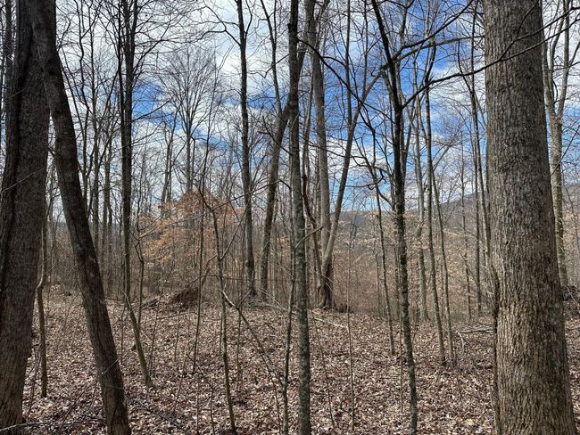 126 Northcutts Cove Rd, Home with 0 bedrooms, 0 bathrooms and null parking in Beersheba Springs TN | Image 11